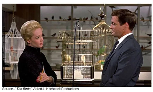 “Dear Mister Brenner, I think you need these lovebirds after all. They may help your personality.” – Melanie Daniels – “The Birds,” Alfred J. Hitchcock Productions, 1963